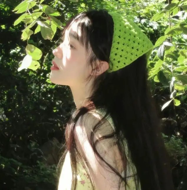该计划