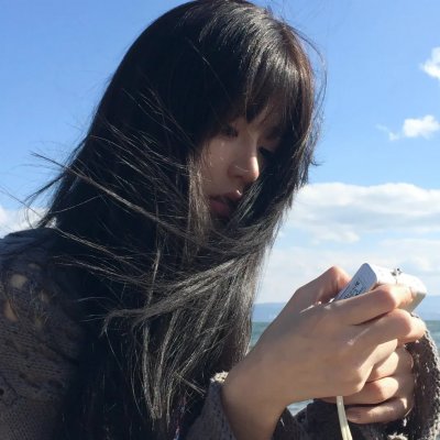 海燕双飞
